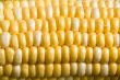 corn crazy