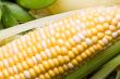 corn crazy