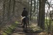 horse riding