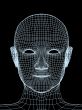 Head of the person from a  3d grid