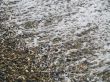 Foam on pebbles
