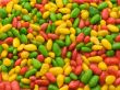 Multi-coloured seeds of a sunflower