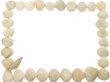 Photo a framework from sea shell