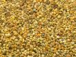 bee beeswax