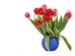 red tulips
