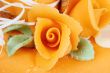 orange rose