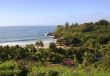 Tropical seaside garden