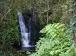 Flowing waterfall in the garden