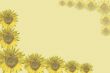 Sunflowers background