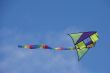 Kite
