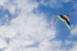 Kite