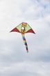 Kite