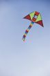 Kite