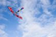 Kite