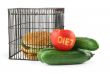 diet concept #2