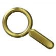 Golden Magnifying Glass