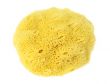 Natural Sponge