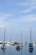 Sailboats