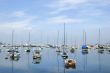 Sailboats