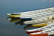 Dragon Boats