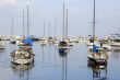 Sailboats