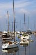 Sailboats