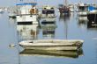 Sailboats