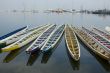 Dragon Boats