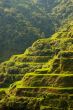 Hapao Rice Terraces