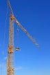 Crane