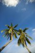 Beach Resort