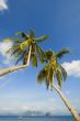 Beach Resort