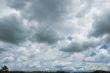 Clouds and Grass