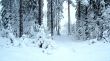 Winter view, Sweden