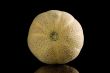 Melon
