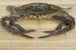 Crab