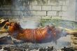 Roast Pig