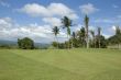 Golf Greens