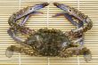 Crab
