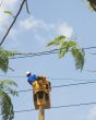Electric Serviceman