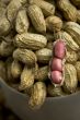Peanuts