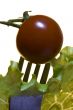 Tomato with goods Isolated