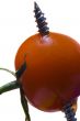 Tomato with goods Isolated