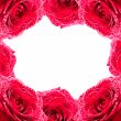Framework from roses