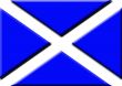 Embossed Scottish flag