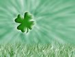 Four leaf clover