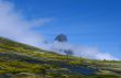 Rock is in fluffy clouds.