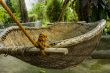 Hammock
