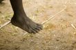 Foot