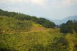 Mountain Road